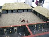 Representation of the ancient Inca temple complex