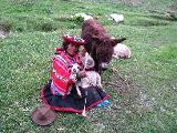 A local (Quechua).