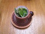 Coca tea