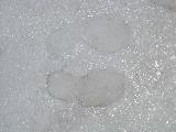 Our footprints :)