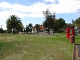 Rotorua gardens