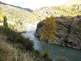 Following the Clutha river,