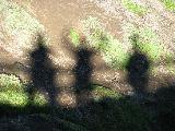 Playing with shadows ... who's who ?