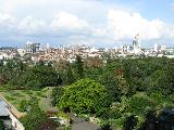 View across the Royal Botanic Gardens