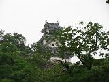 Kochi castle