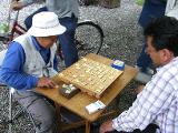 Shogi game in the park