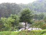 ... to finally reach Jirisan National Park and the town of Sancheong