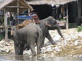 Short break, at an elephant camp